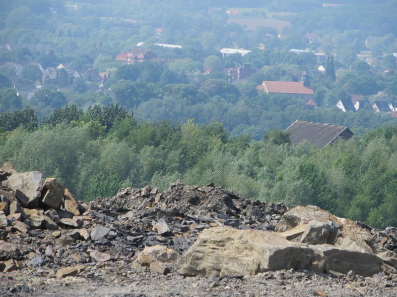 Exkursion in den Piesberg  am 13. Mai 2018 (55)